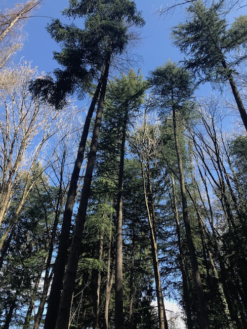La Torre de li beli miri a Teglio | Blog di Valendario Valtellinese