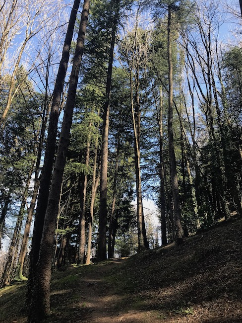La Torre de li beli miri a Teglio | Blog di Valendario Valtellinese