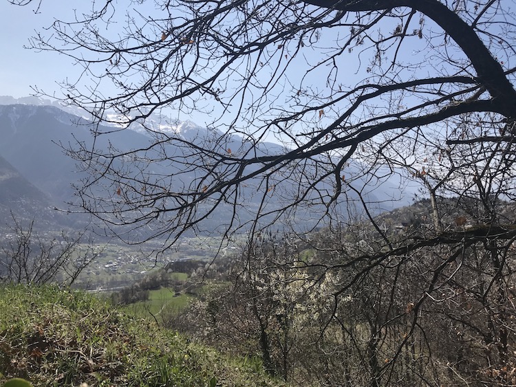 La Torre de li beli miri a Teglio | Blog di Valendario Valtellinese