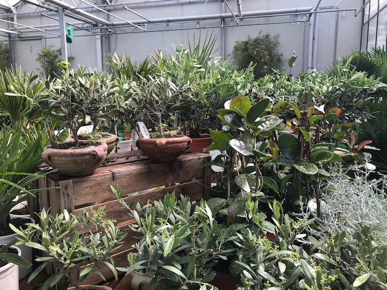 Hai visto i presepi a Tresivio? | Blog di Valendario Valtellinese