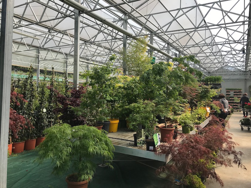 Hai visto i presepi a Tresivio? | Blog di Valendario Valtellinese