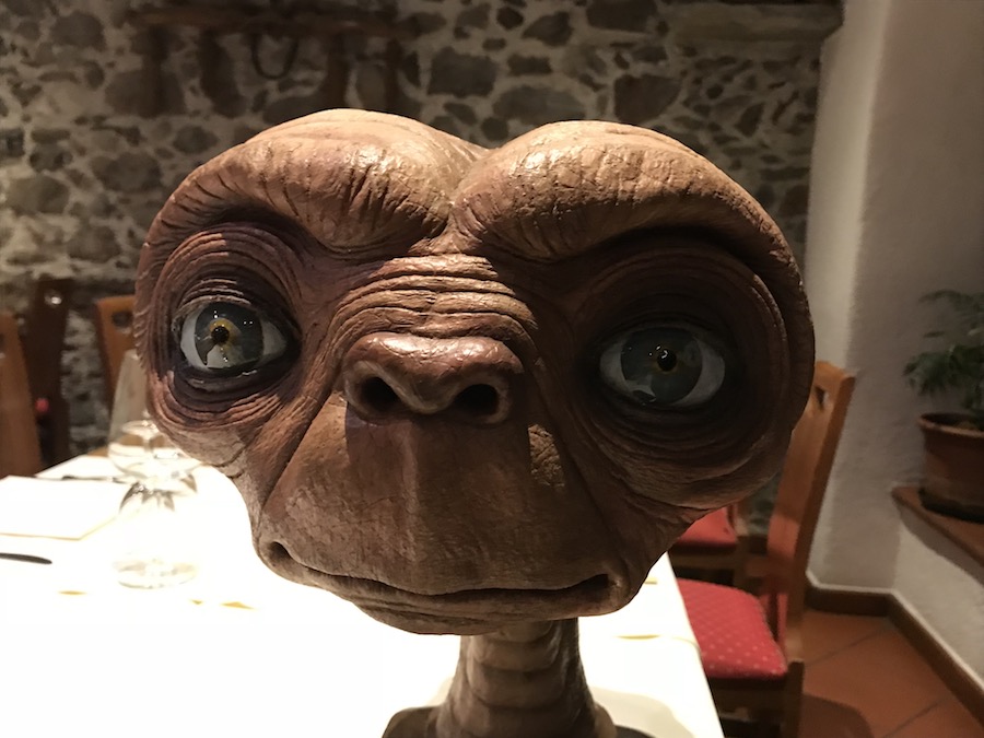 Ho incontrato E.T. l'extraterrestre | Blog di Valendario Valtellinese