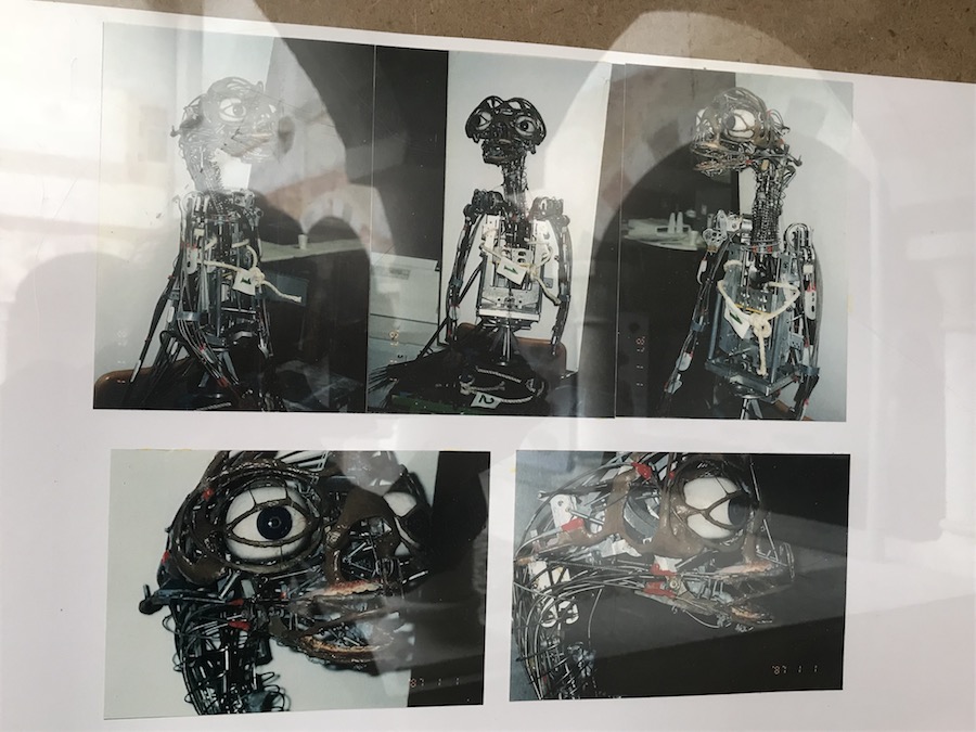 Ho incontrato E.T. l'extraterrestre | Blog di Valendario Valtellinese