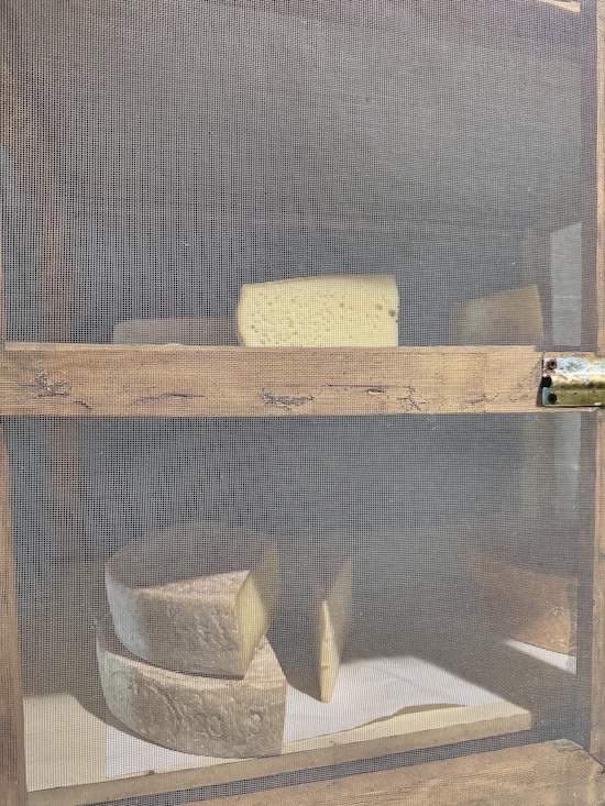 Una giornata in alpeggio | Blog di Valendario Valtellinese