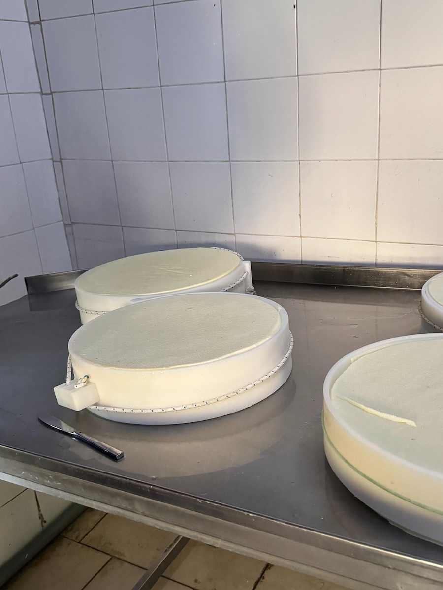 Una giornata in alpeggio | Blog di Valendario Valtellinese
