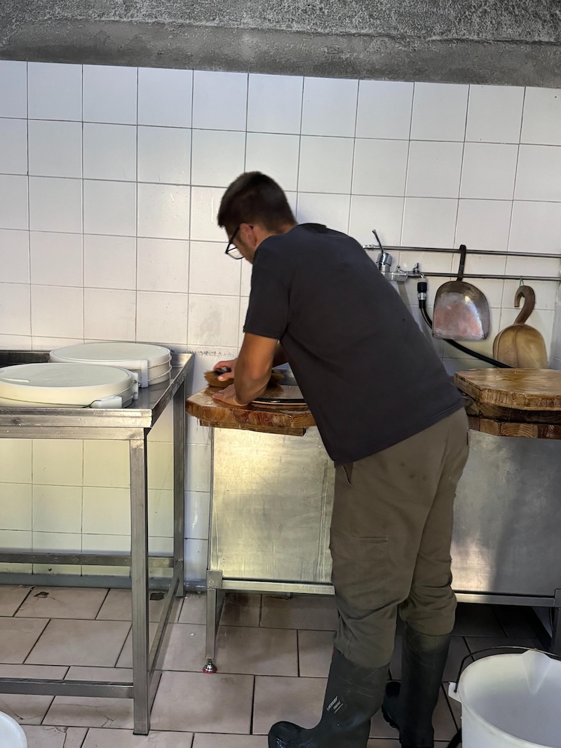 Una giornata in alpeggio | Blog di Valendario Valtellinese