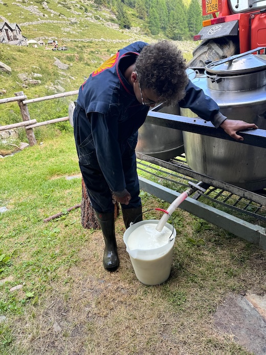 Una giornata in alpeggio | Blog di Valendario Valtellinese