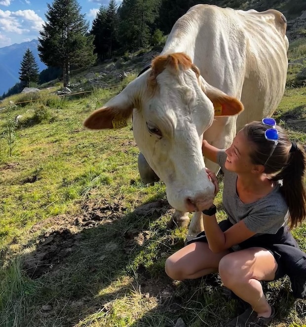Una giornata in alpeggio | Blog di Valendario Valtellinese