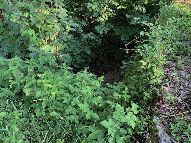 Il Ridotto della Valtellina | Blog di Valendario Valtellinese