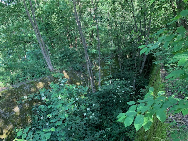 Il Ridotto della Valtellina | Blog di Valendario Valtellinese