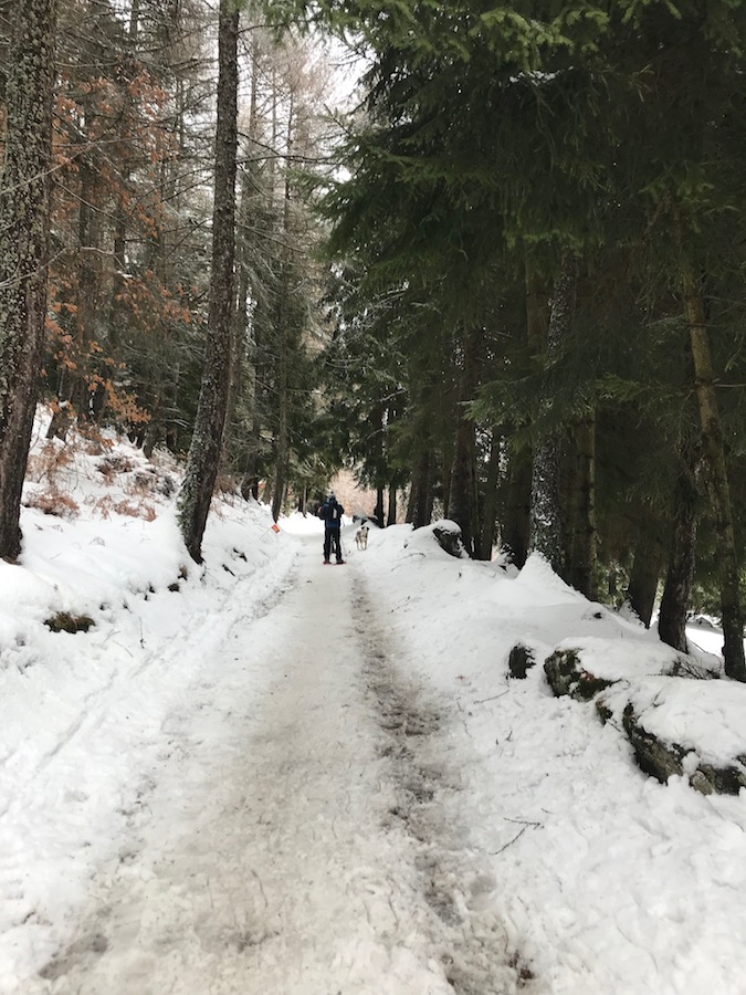 Ho ciaspolato al Gusta e Vai | Blog di Valendario Valtellinese