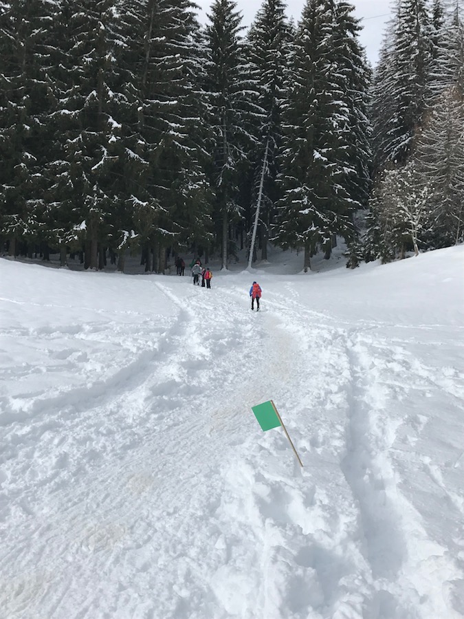 Ho ciaspolato al Gusta e Vai | Blog di Valendario Valtellinese