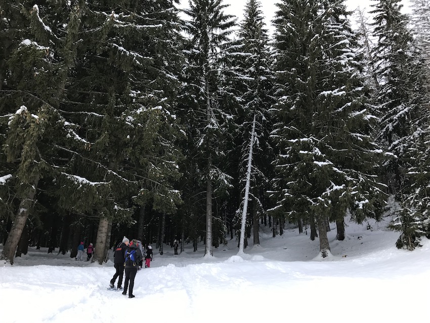 Ho ciaspolato al Gusta e Vai | Blog di Valendario Valtellinese