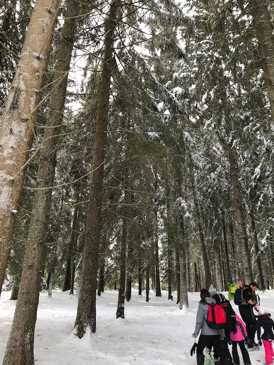 Ho ciaspolato al Gusta e Vai | Blog di Valendario Valtellinese