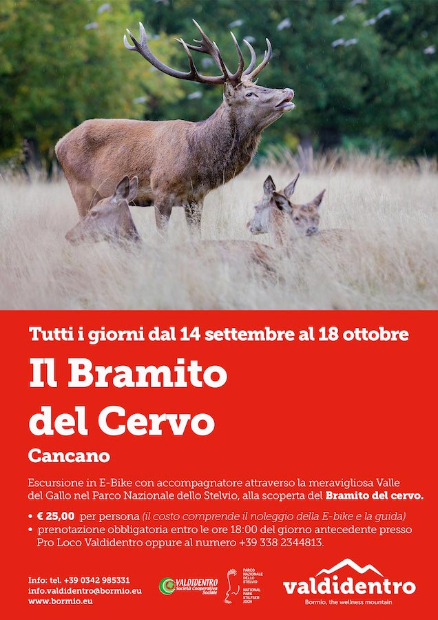 Il bramito del Cervo | Blog di Valendario Valtellinese