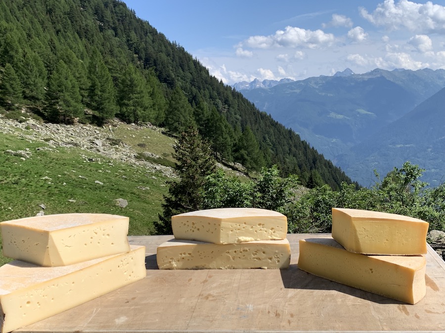 Dove vai in vacanza? In alpeggio... | Blog di Valendario Valtellinese