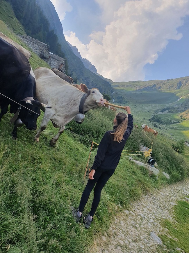 Dove vai in vacanza? In alpeggio... | Blog di Valendario Valtellinese