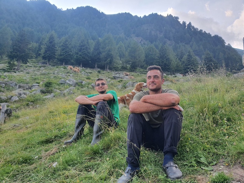 Dove vai in vacanza? In alpeggio... | Blog di Valendario Valtellinese