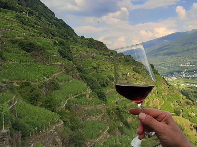 Un Ciapèl d'Oro davvero speciale per il 2020 | Blog di Valendario Valtellinese