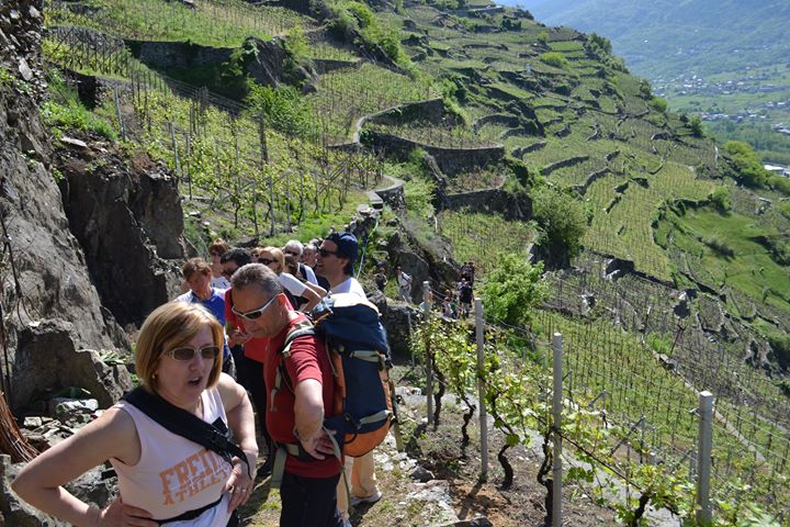 Un Ciapèl d'Oro davvero speciale per il 2020 | Blog di Valendario Valtellinese