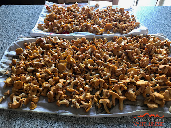 I love finferli | Blog di Valendario Valtellinese