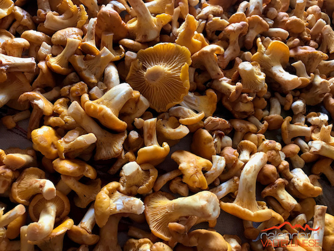 I love finferli | Blog di Valendario Valtellinese