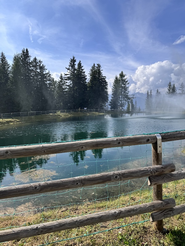 In Magnolta dopo 40 anni | Blog di Valendario Valtellinese