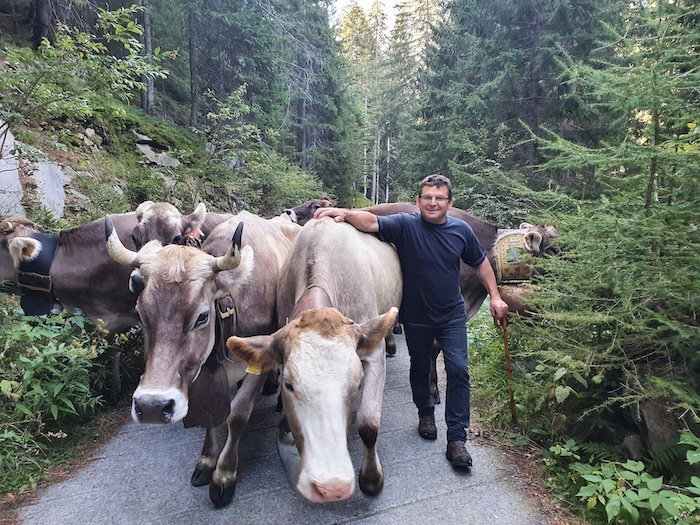 La transumanza in Valtellina | Blog di Valendario Valtellinese