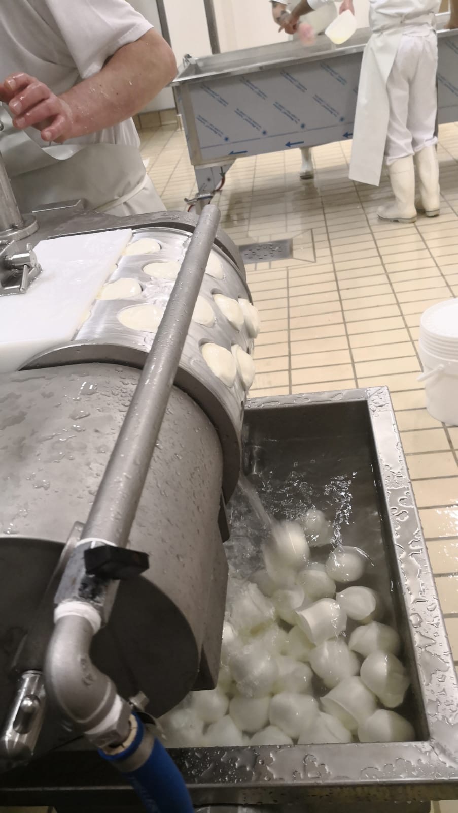 La Valtellina ora ha anche la sua mozzarella | Blog di Valendario Valtellinese