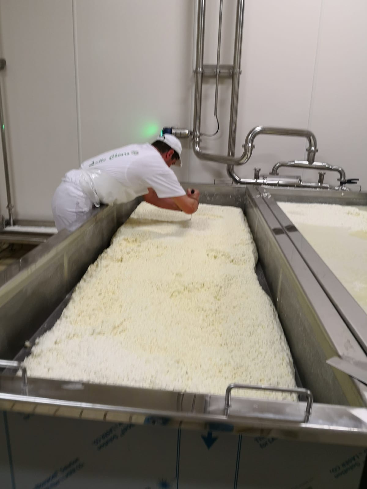 La Valtellina ora ha anche la sua mozzarella | Blog di Valendario Valtellinese