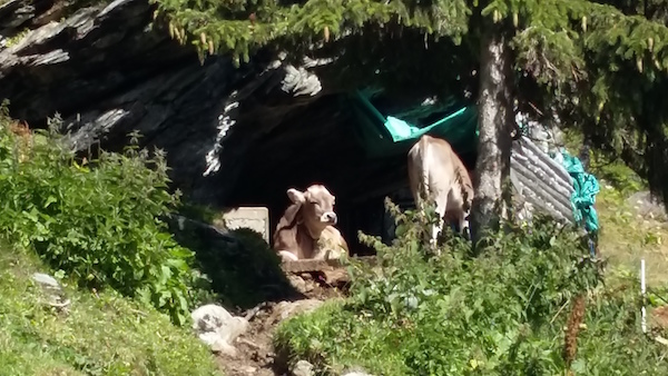 Un'escursione in Valmalenco al rifugio Cristina | Blog di Valendario Valtellinese