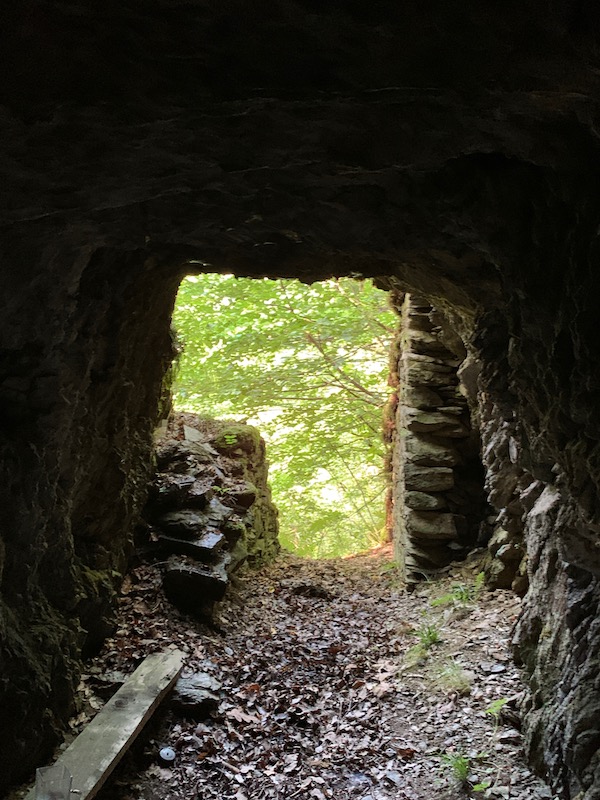 Il Ridotto della Valtellina | Blog di Valendario Valtellinese