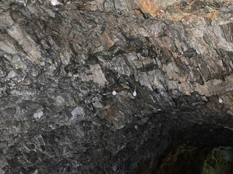 Il Ridotto della Valtellina | Blog di Valendario Valtellinese