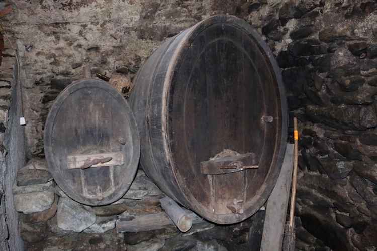 Una notte bianca in cantina | Blog di Valendario Valtellinese