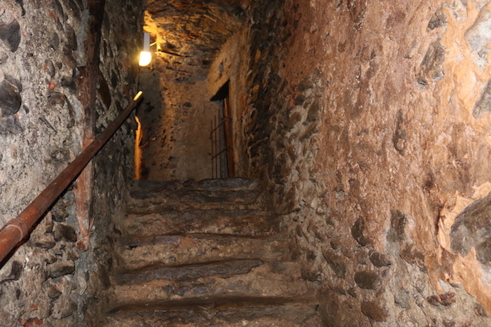 Una notte bianca in cantina | Blog di Valendario Valtellinese