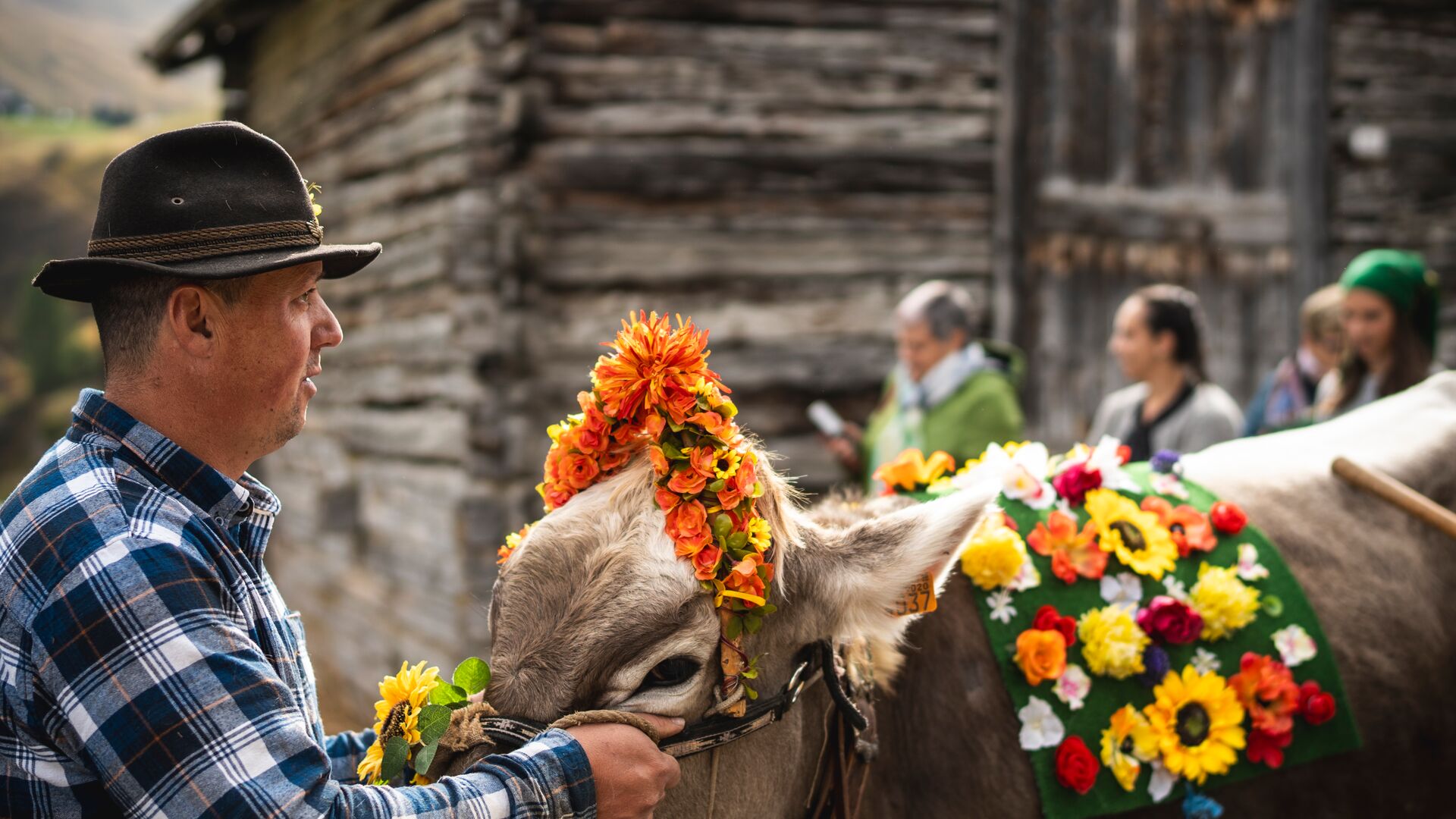 Immagine gallery evento Alpen Fest