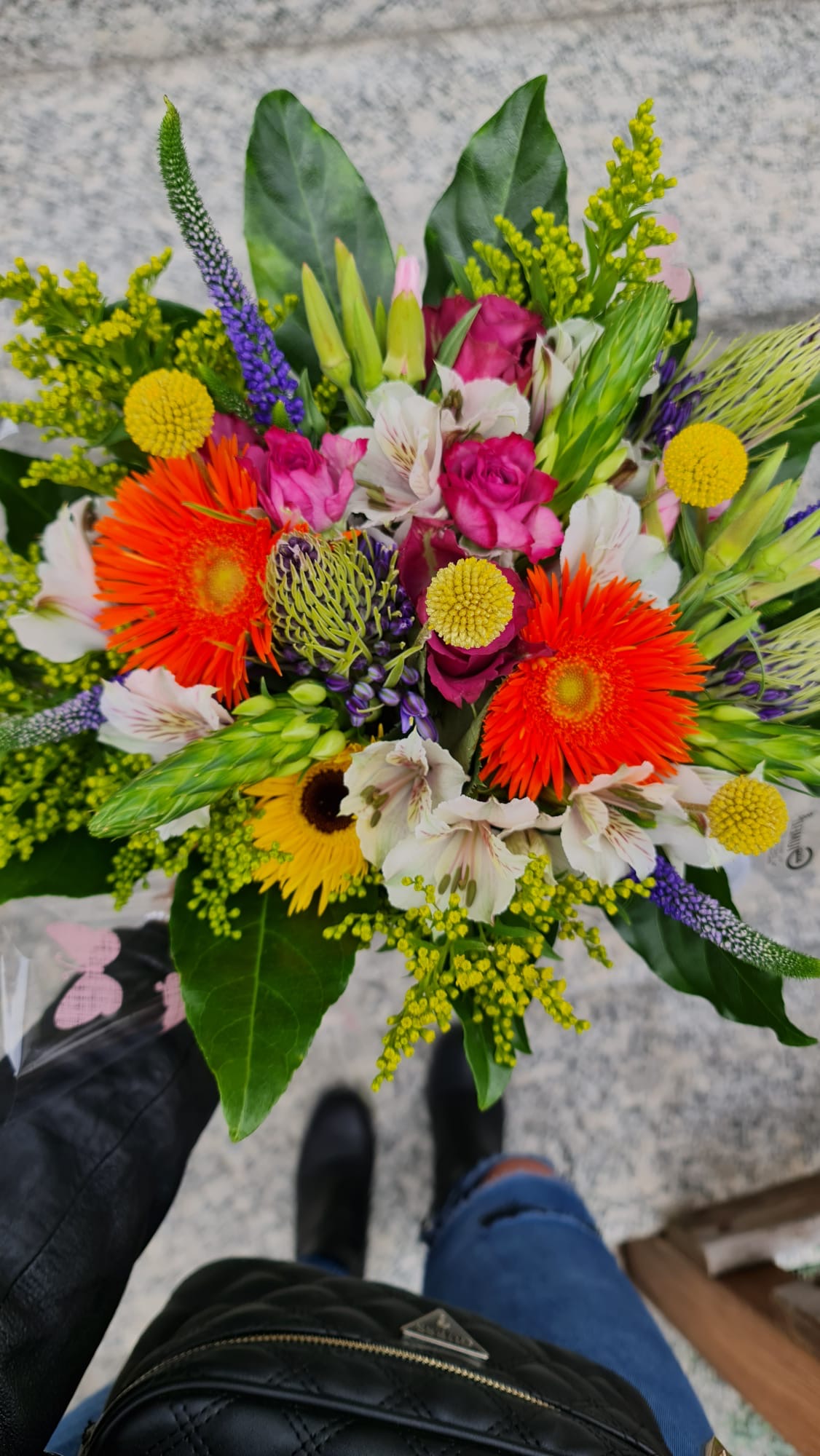 Immagine gallery azienda Vivai Giumelli Azienda Agricola