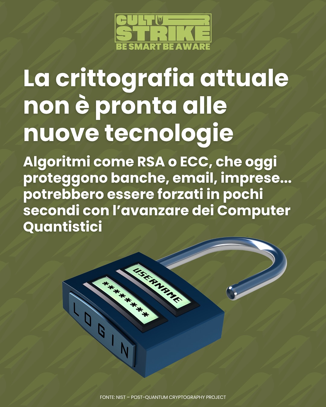 Immagine gallery evento CulturStrike 2025 - Morbegno