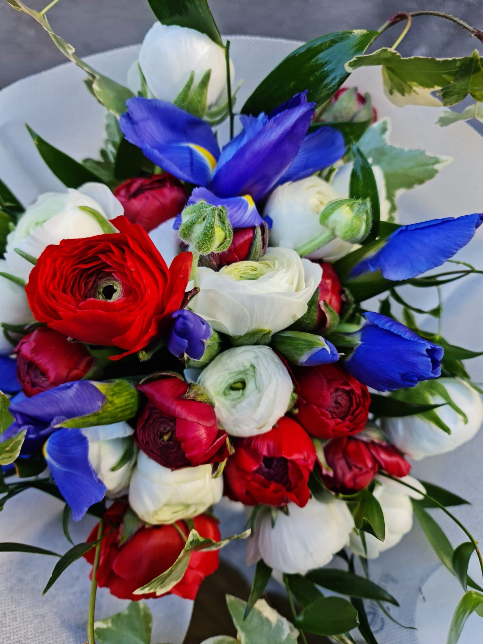 Immagine gallery azienda Vivai Giumelli Azienda Agricola