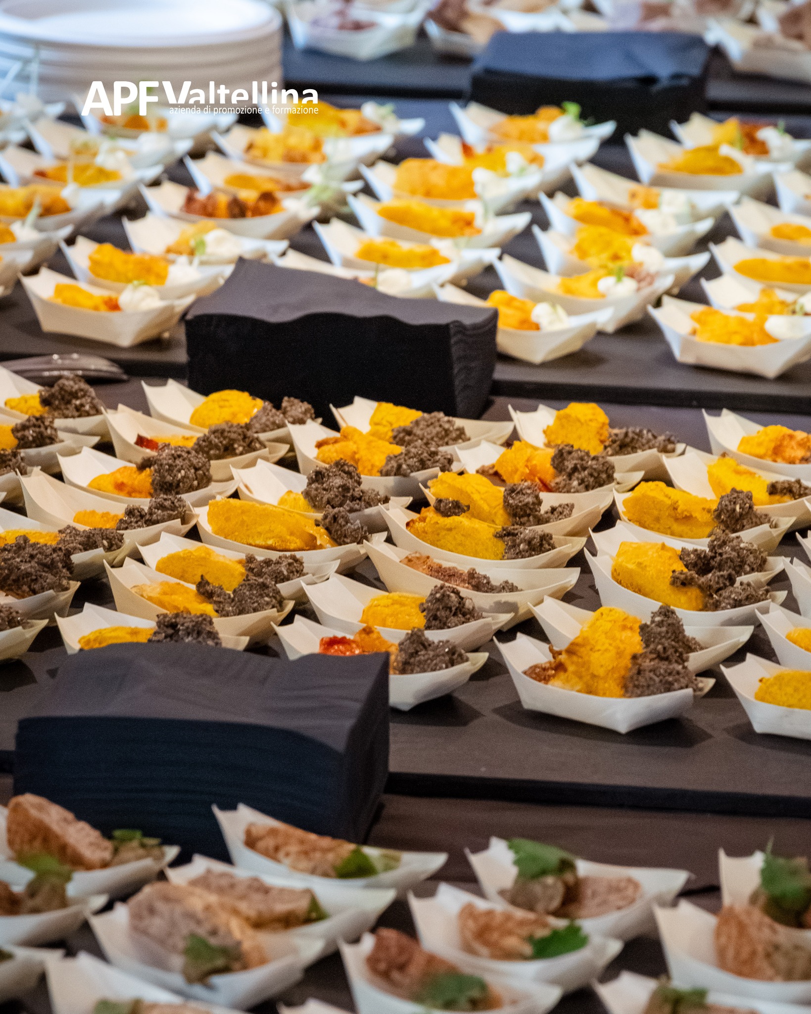 Immagine gallery azienda APF Valtellina