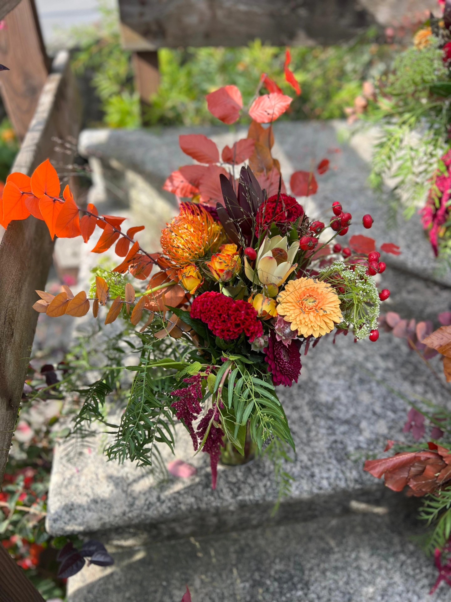 Immagine gallery azienda Vivai Giumelli Azienda Agricola