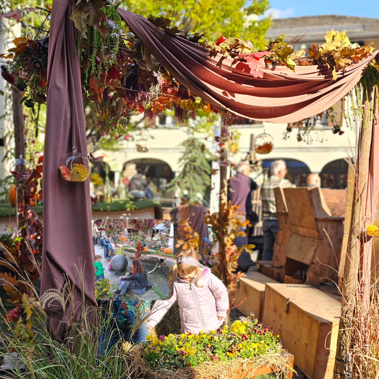 Immagine gallery azienda Vivai Giumelli Azienda Agricola