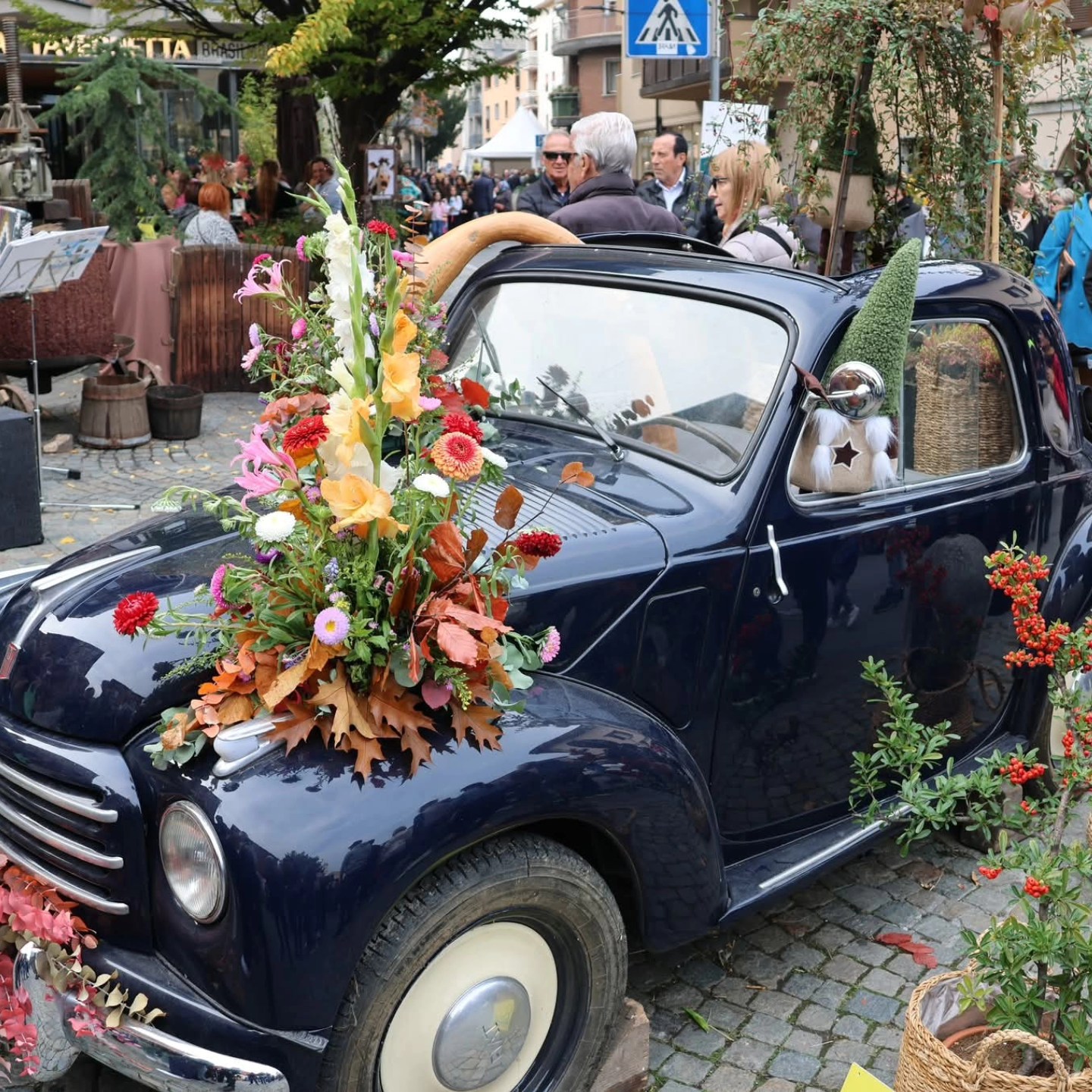 Immagine gallery azienda Vivai Giumelli Azienda Agricola