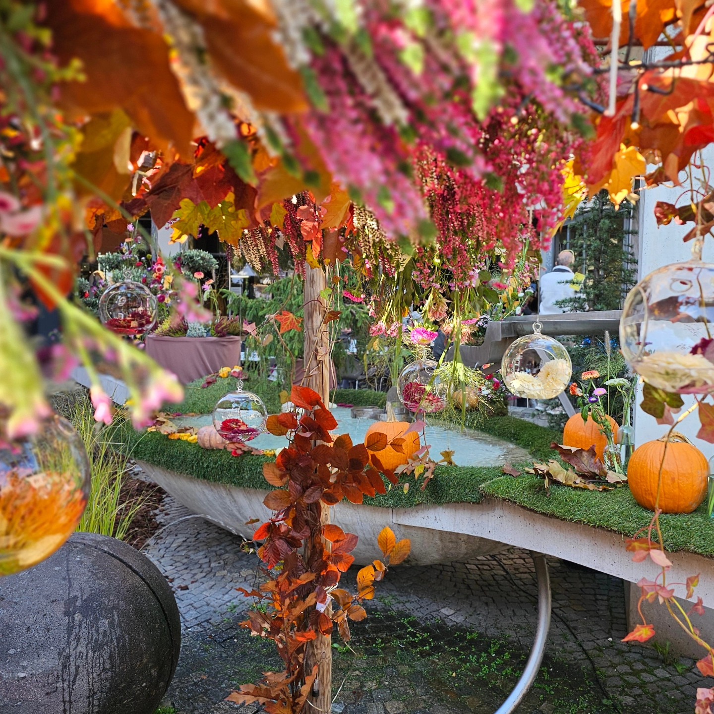 Immagine gallery azienda Vivai Giumelli Azienda Agricola