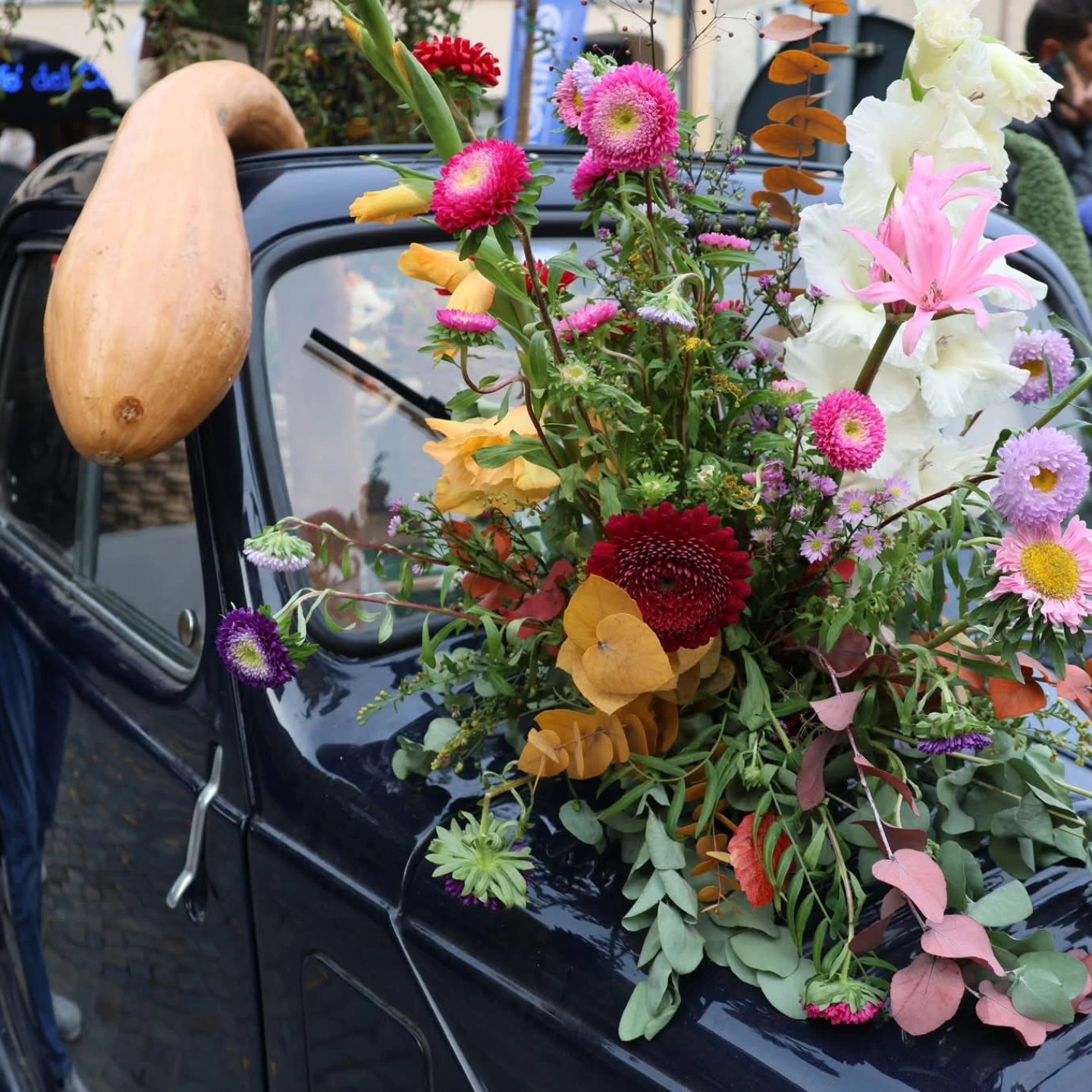 Immagine gallery azienda Vivai Giumelli Azienda Agricola