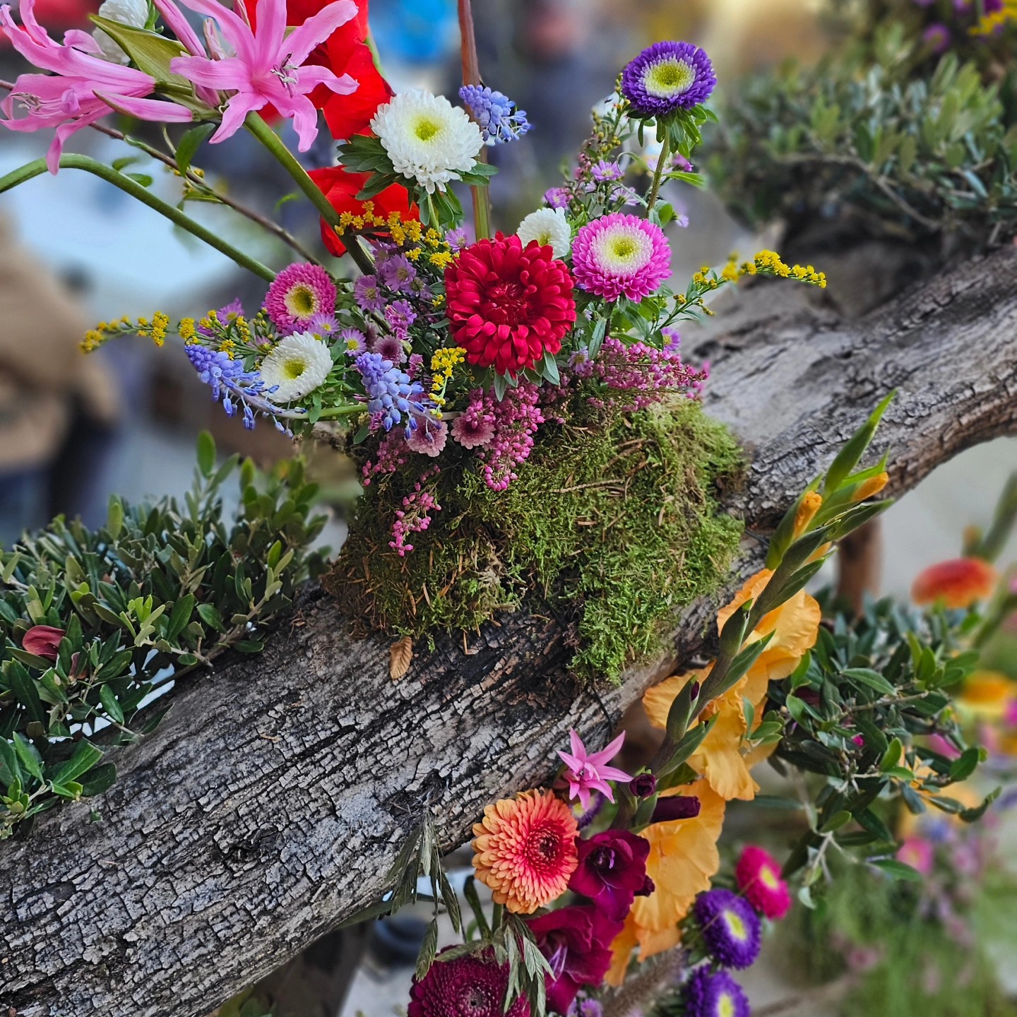 Immagine gallery azienda Vivai Giumelli Azienda Agricola