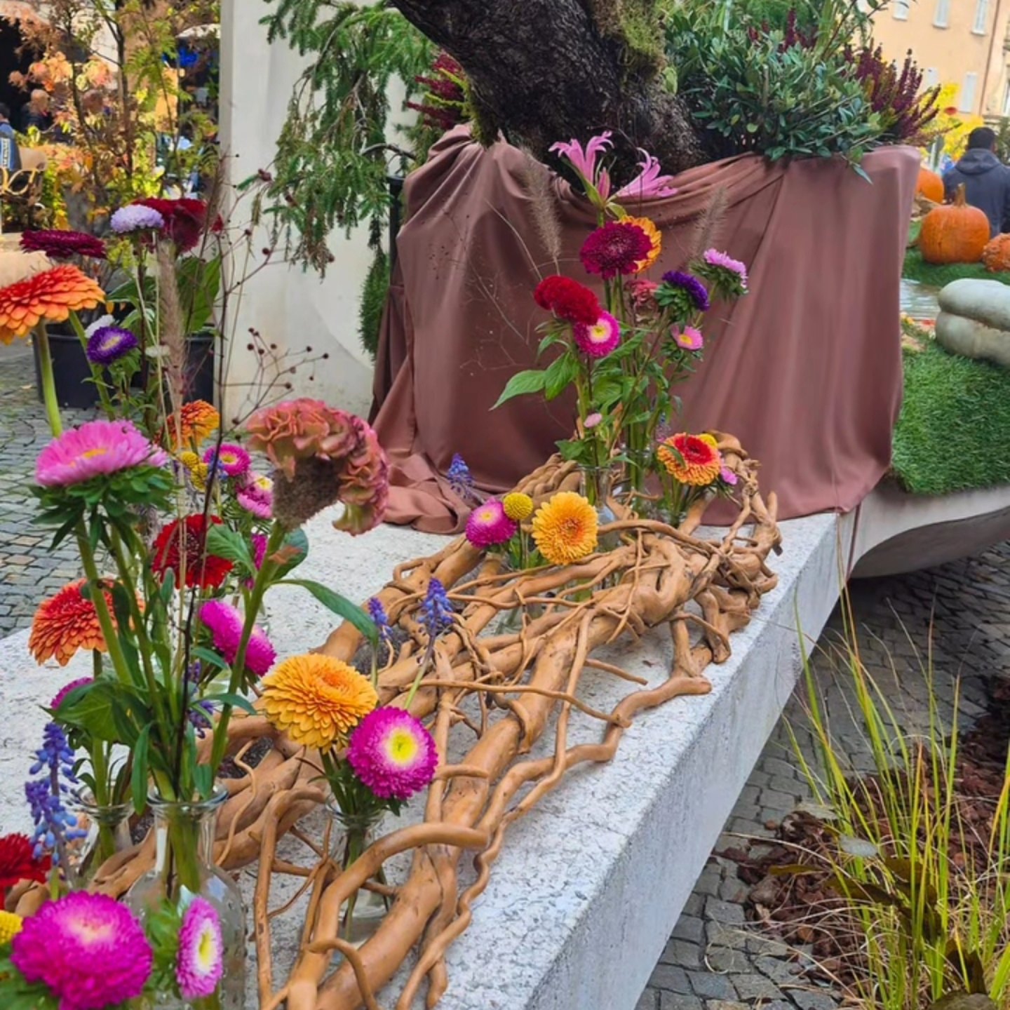 Immagine gallery azienda Vivai Giumelli Azienda Agricola