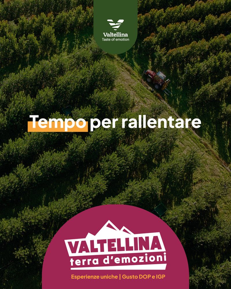 Immagine gallery articolo Hai bisogno di Vitamin T? La trovi in Valtellina (fino al 17 maggio)