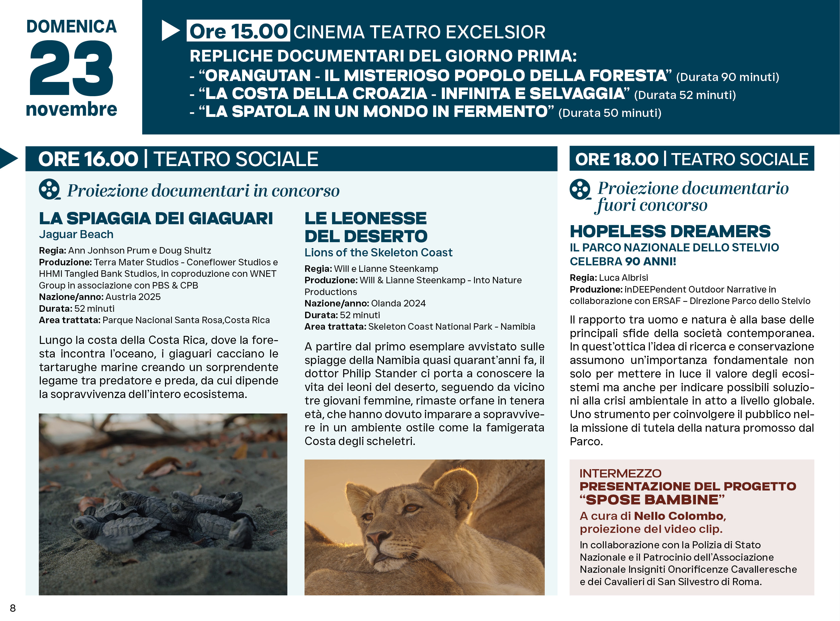 Immagine gallery evento Sondrio Festival 2025