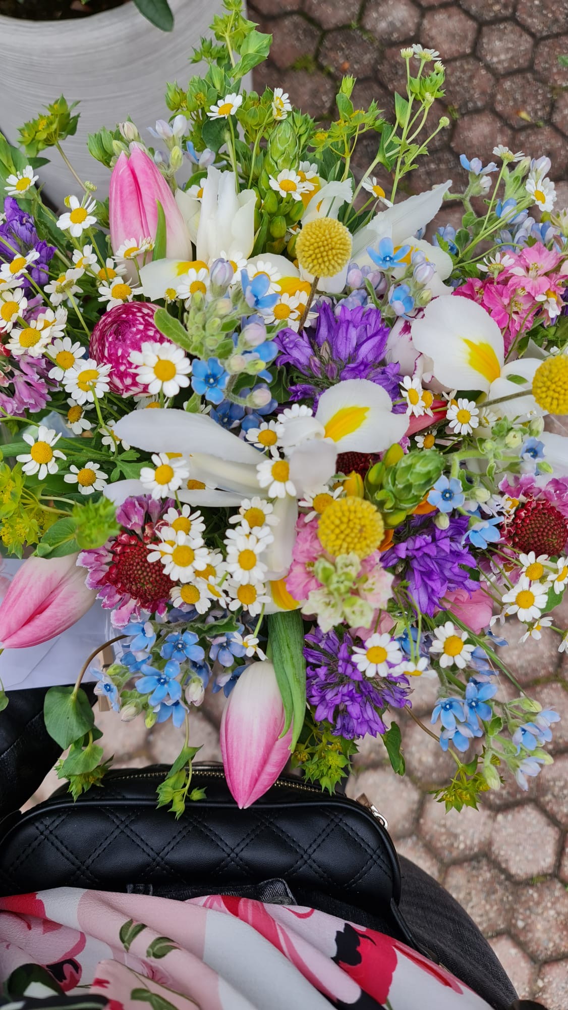 Immagine gallery azienda Vivai Giumelli Azienda Agricola